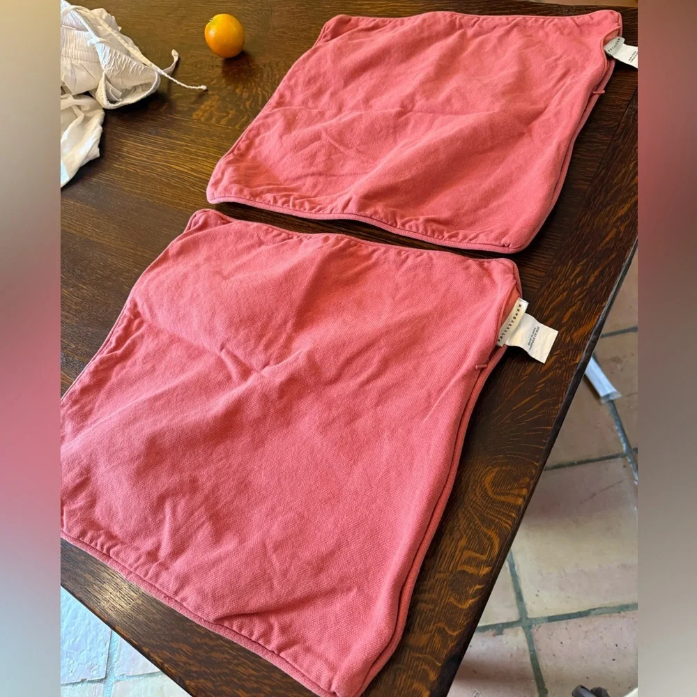 Pottery Barn Throw pillows